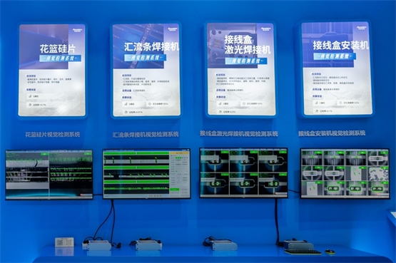 “AI+视觉”突破新场景维视智造亮相SNEC2024(图2)