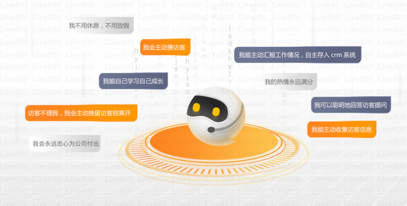 Live800:2024智能客服和人工客服能做什么?(图2)