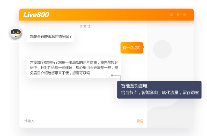 Live800:2024智能客服和人工客服能做什么?(图3)