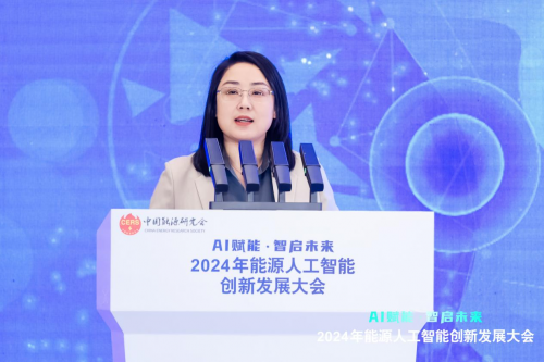 2024年能源人工智能创新发展大会成功召开(图17)