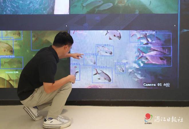 湛江“AI”了！(图1)
