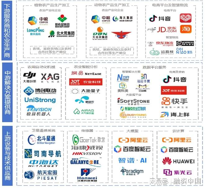 星空智能科技：“AI+农业”：重塑农业生产的智慧蓝图(图4)