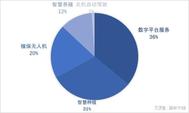 星空智能科技：“AI+农业”：重塑农业生产的智慧蓝图(图7)