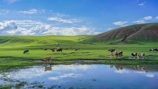 星空体育科技：机器人传感器国产替代加速这些上市公司手握稀缺技术(图6)