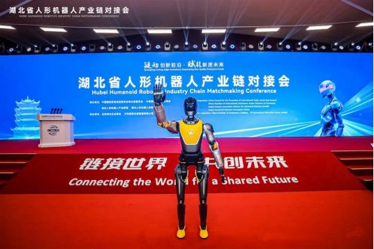 星空体育智能科技：2025年武汉市人工智能十大创新产品揭晓！(图11)