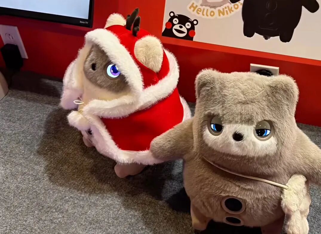 CES观察丨AI硬件迎来黄金时代中国机器人“进场打工”(图4)