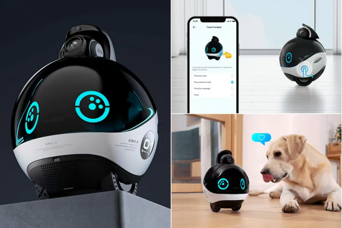 CES观察丨AI硬件迎来黄金时代中国机器人“进场打工”(图5)