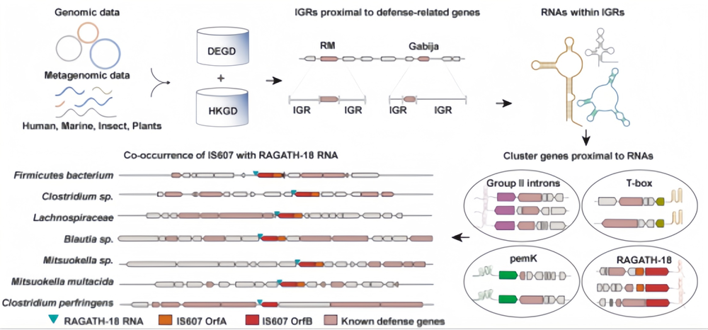 哈工大人工智能如何“耕”出新天地？(图6)